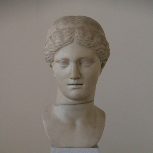 ritratto (testa femminile) - ambito romano (metà epoca romana/ sec. I d.C.)