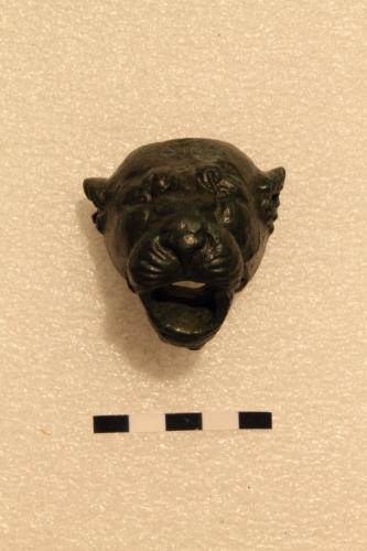 testa di leonessa (terminazione decorativa/bocca di fontana) - produzione italica settentrionale (sec. I d.C.)
