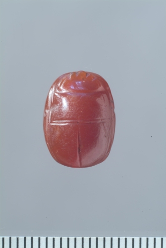 triga (scarabeo, scarabeo) - glittica etrusca (IV sec. a.C.)